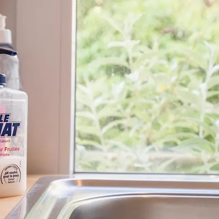 Felix Delhasse Apartman Brüsszel