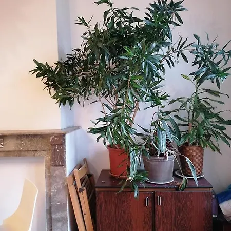 Spacieux Et Super Appart Apartment