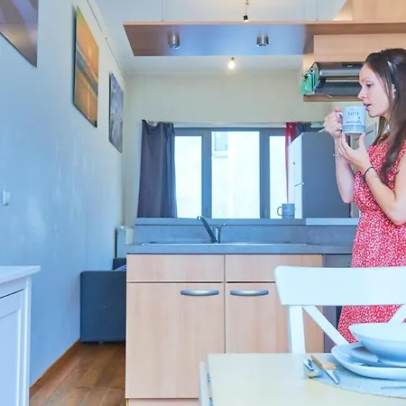 Au Plein Centre De La Bruxelles