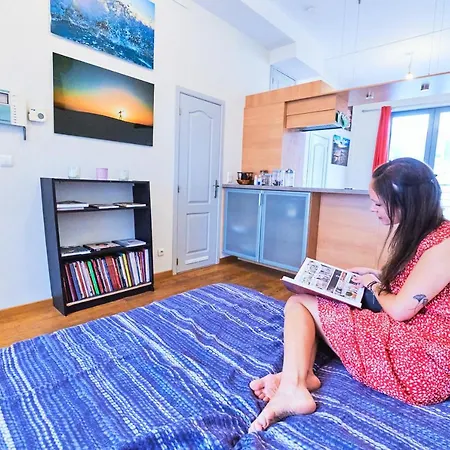 Appartement Au Plein Centre De La