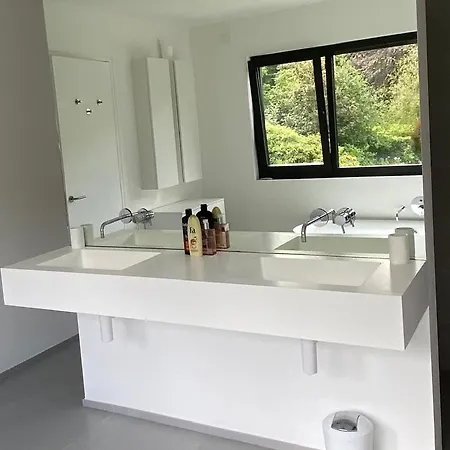Contemporaine Dans La Verdure Villa