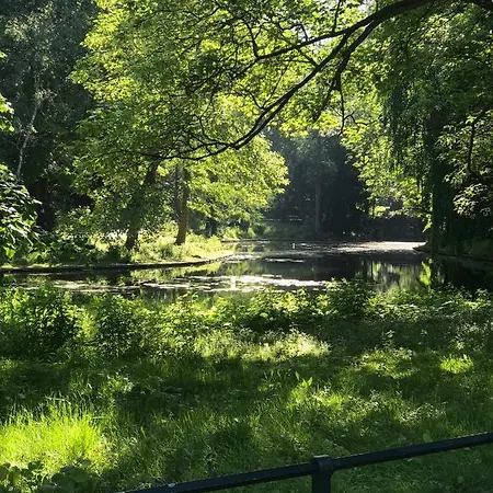 Van Oost *