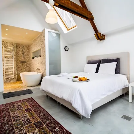 Oasis Penthouse Brussels