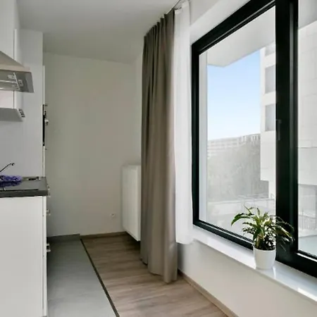 Amazing Appt 1 Bedroom In The Center Of With Jaccuzi By Reservation *