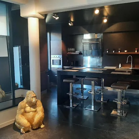 Loft Vip Bxl 公寓 布鲁塞尔
