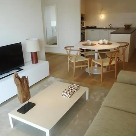 Appartement Luxury Flagey/louizalaan Brussel
