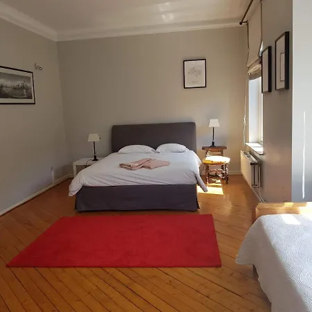 Spacious & Comfortable Flat Near Eu Institutions Brussels