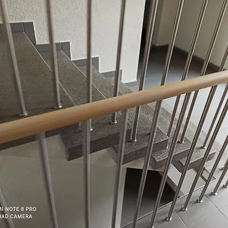 Apartment Wolves In Belgium * Brüsszel