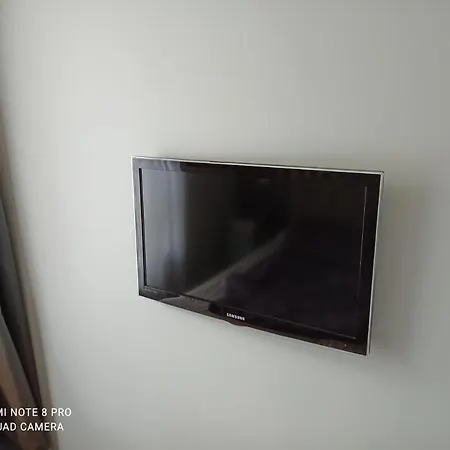 Apartment Wolves In Belgium Brusel