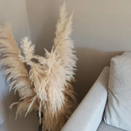 Belettes Vip Apartment & Ewa Apartment Brussels