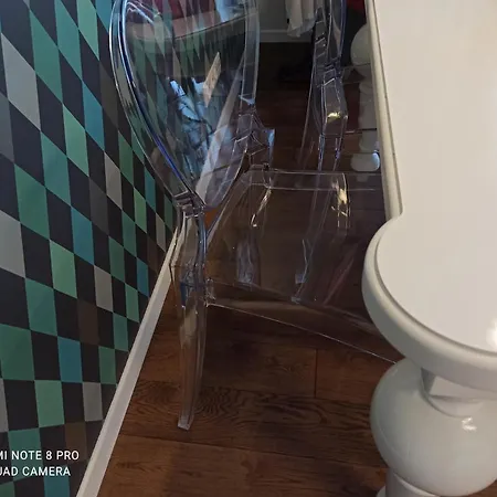 Apartment Wolves In Belgium *