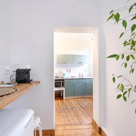 Lovely Studio Next To Place Sainte-Catherine Apartment