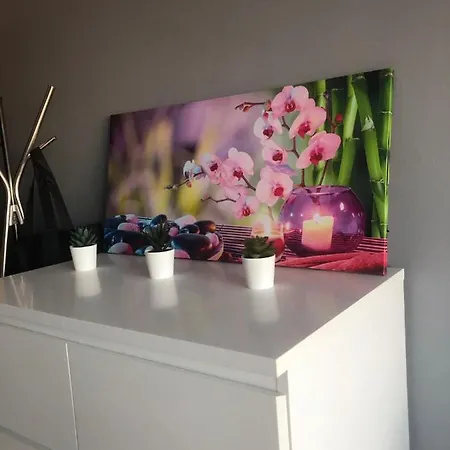 Homestay Studio Equipe, Salle De Bain Privee, Proche Centre Ville *