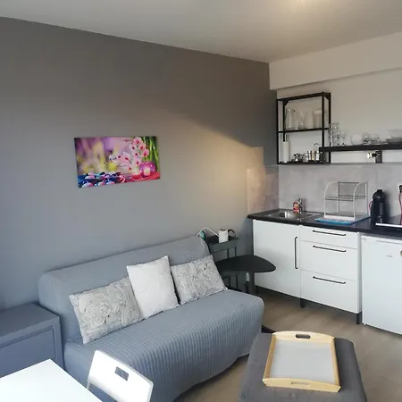 Studio Equipe, Salle De Bain Privee, Proche Centre Ville *