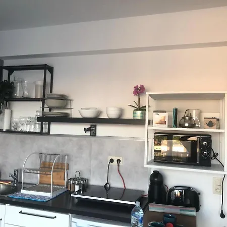 Studio Equipe, Salle De Bain Privee, Proche Centre Ville Homestay Brussels