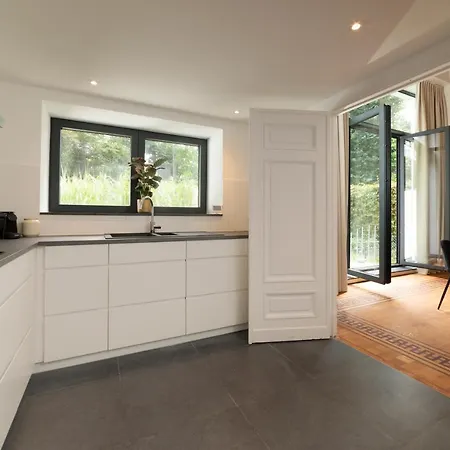 Sweett - Saint Bernard *