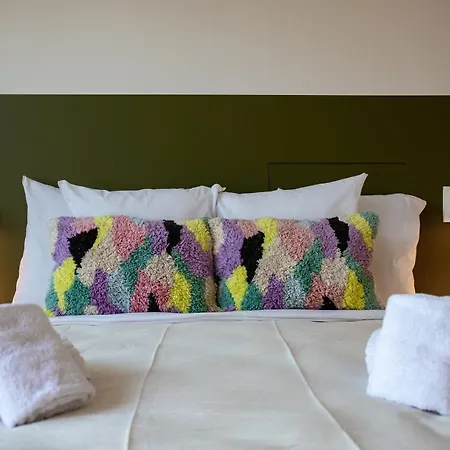 Sweett - Saint Bernard * Brüssel