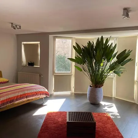 Large Convenient Flat In Central Brussels