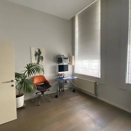 Large Convenient Flat In Central Brussels *