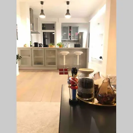 Lovely One Bedroom Condo In The Heart Of Ixelles