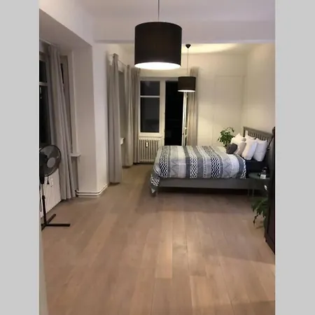 Lovely One Bedroom Condo In The Heart Of Ixelles Apartamento Bruxelas