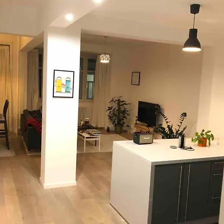 Apartamento Lovely One Bedroom Condo In The Heart Of Ixelles