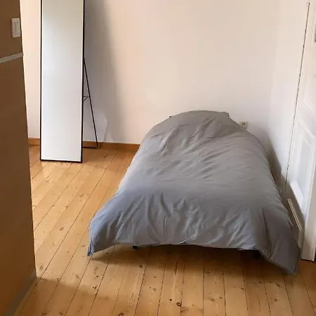 Daire Magnifique Avec 1 Et Tout Comfort Brüksel