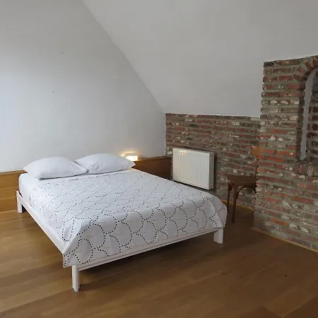 Chambre Dans Un Appartement De Charme Au Coeur De Bruxelles Bed & Breakfast Bruxelles