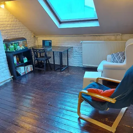 Apartment Logement Entier Dans Une Maison D'Artiste *