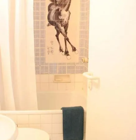 Bed & Breakfast Chambre Dans Un Appartement De Charme Au Coeur De Bruxelles Bruxelles