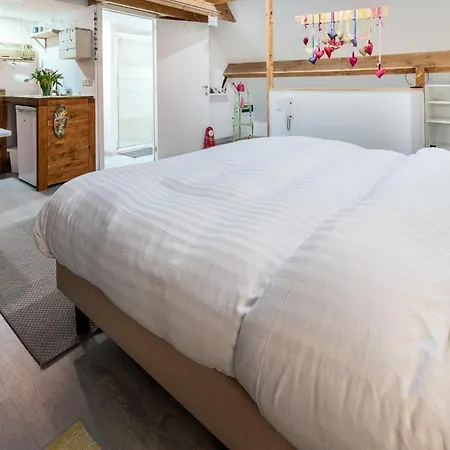 Appartement L'ecluse N° 10 *
