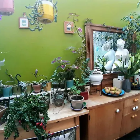 La Petite Maison Dans L Impasse