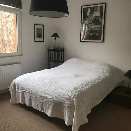 New In House * בריסל