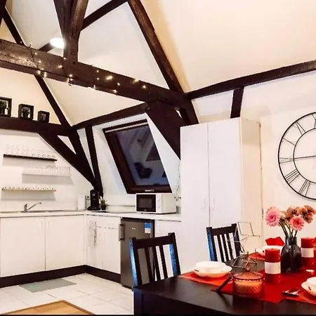 Apartman One Bedroom Appartement With Wifi At Bruxelles