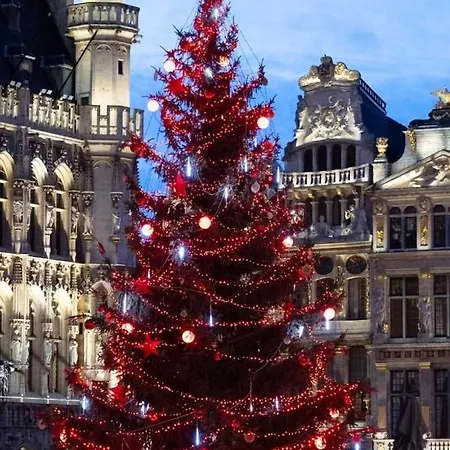 One Bedroom Appartement With Wifi At Bruxelles شقة *