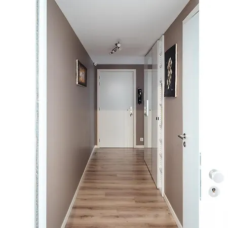 Midi-suede Brüsszel