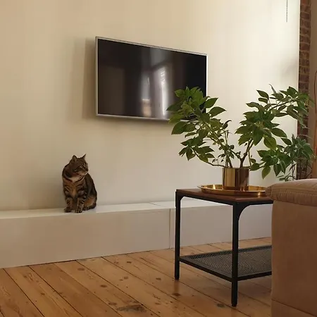 Areuhalf Apartment