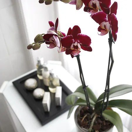 ル プラザ ブリュッセル