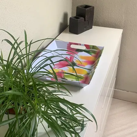 Homestay Brussels Guest House