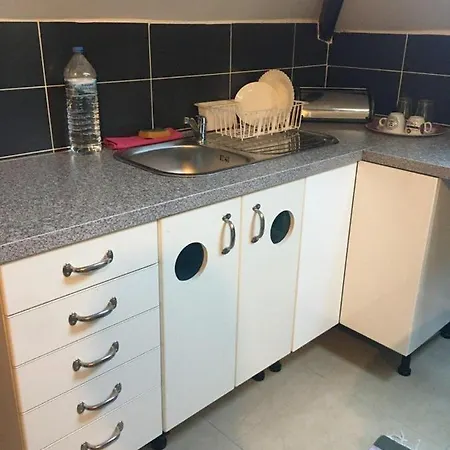 Near The Center With Bathroom And Kitchen アパート ブリュッセル