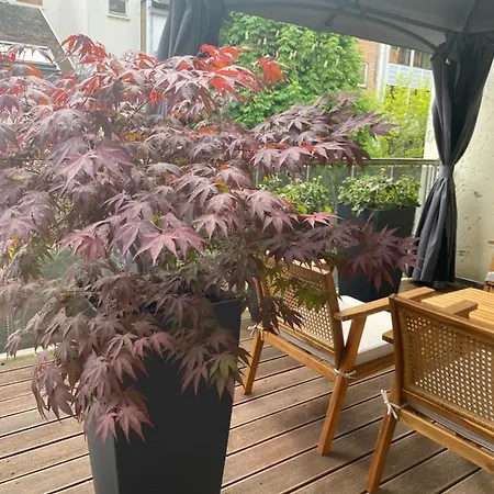 公寓 Moderne Centre De