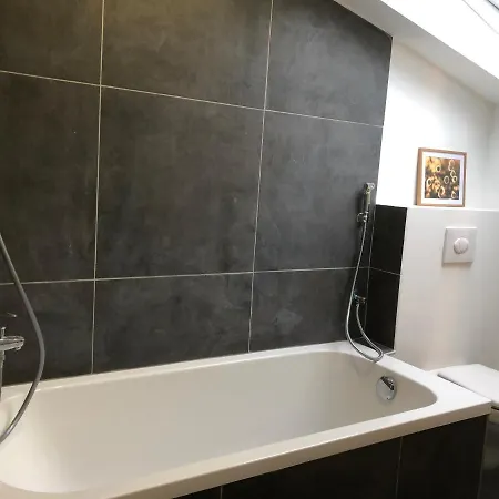 Great 3 Bedrooms/ 3 Bathrooms In The Heart Of Eu Area * Brussels