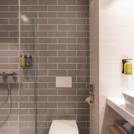 Hotel Express Brussels-grand-place By Ihg 3*