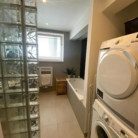 Homestay Chambre, Salle Sport, Grand Patio, Salle De Bain - Luxueux Appartement Idealement Localise Dans Le Centre De Bruxelles *