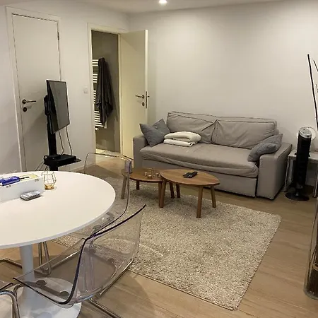 Amazing Flat In Front Of Bois De La Cambre Lägenhet *