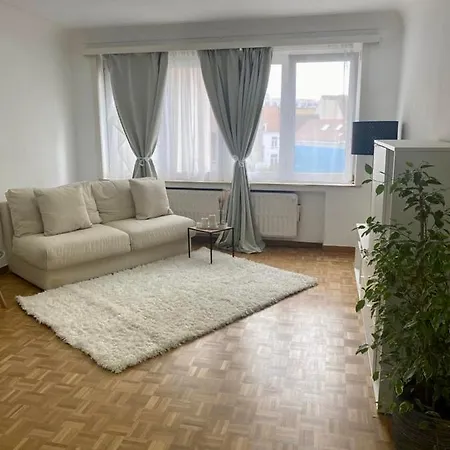 Cinquantenaire Apartman