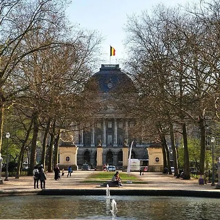 Cinquantenaire *