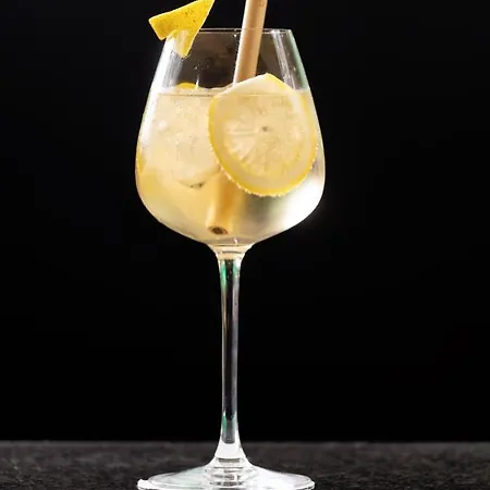 马丁布鲁塞尔欧盟酒店 酒店 4*