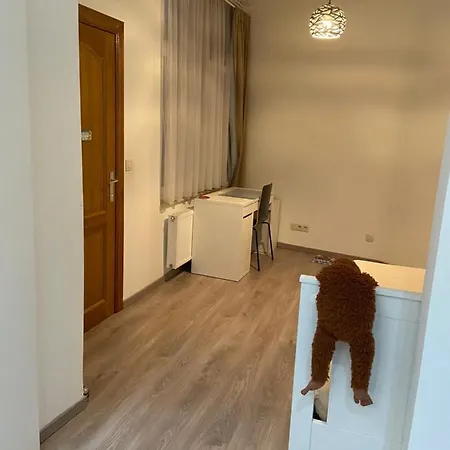Chambres /un Lit Ou 2 Lit A *