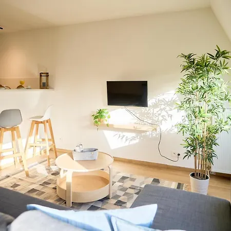 Downtown Apartment Brussels